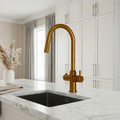 4-in-1 Fohen Kyros Pull Out - Aged Brass